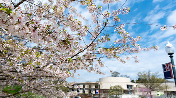 Katzen Arts Center in spring.