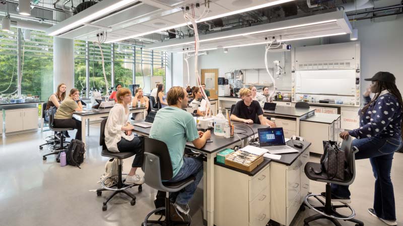 An environmental science class in AU's Hall of Science