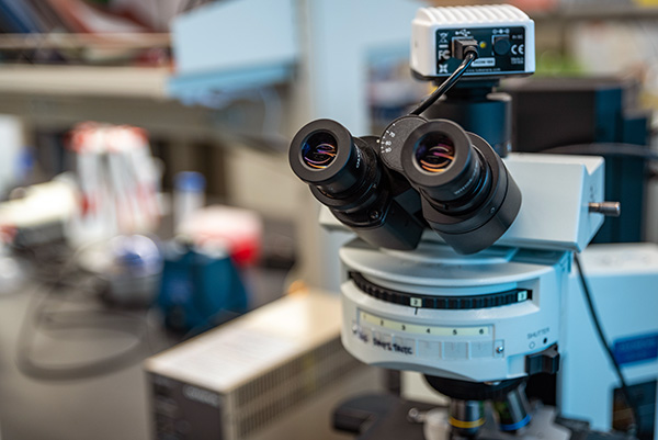 Microscope in the AU biology lab