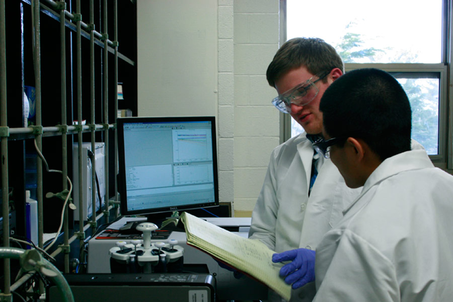 Students work with spectrophotometer