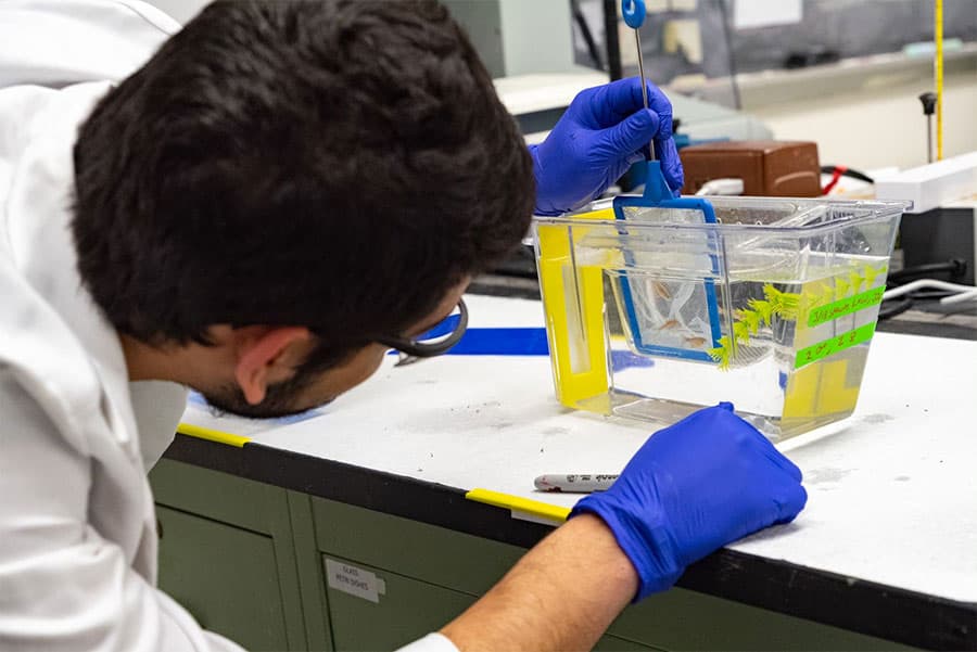 Student in biology lab.