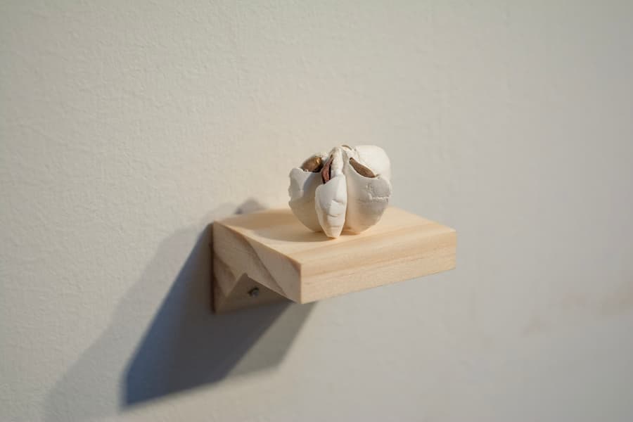 Amanda Muhlena Hays, Womb (Cast Apple Ovaries), 2019