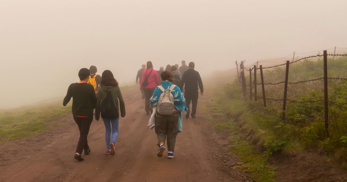 People walking dirt road along barbed-wire fence.