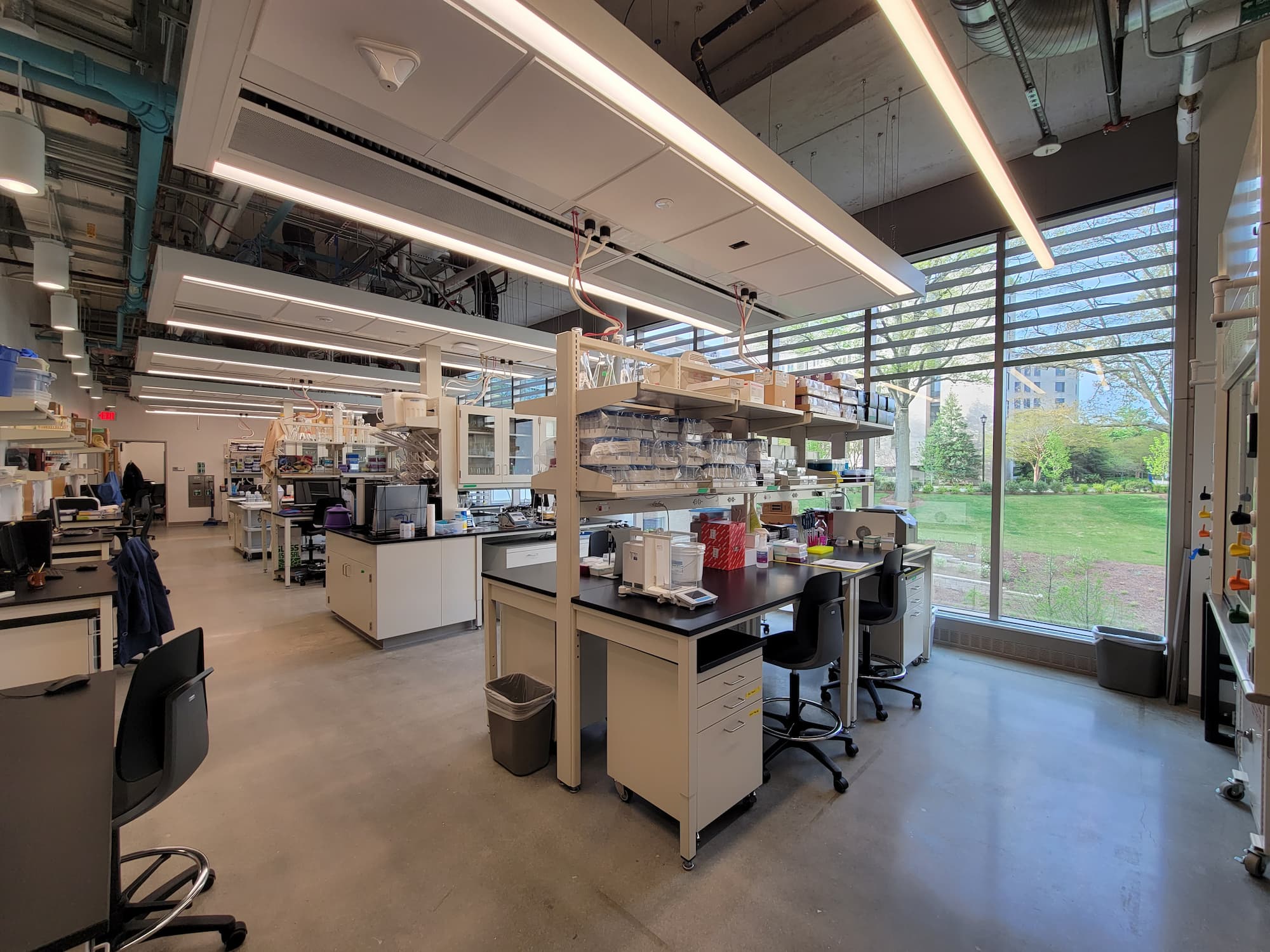 Laboratory in the Hall of Science