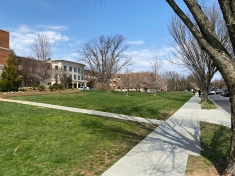 Multi-use trail on Nebraska Avenue