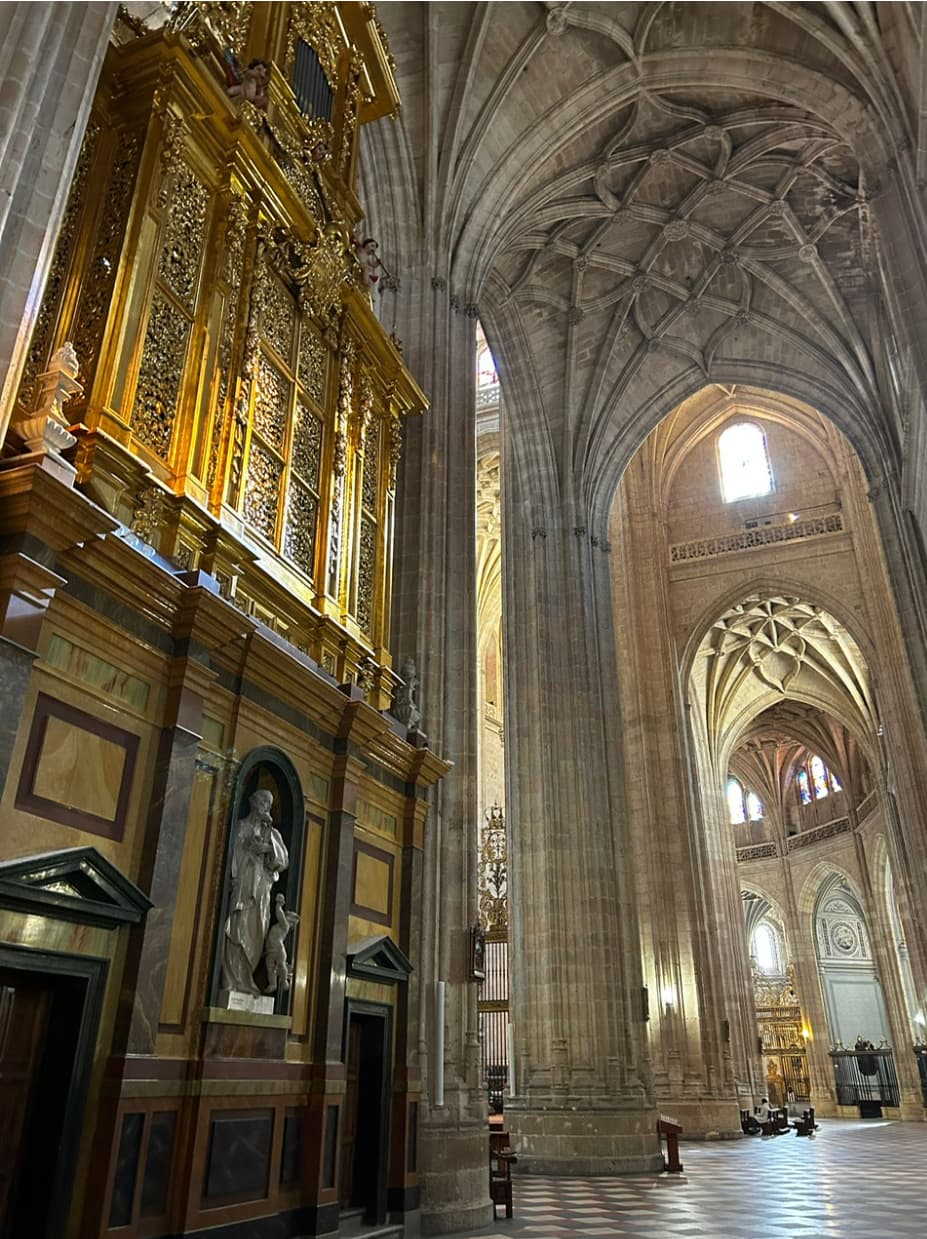 Cathedral of Segovia 2