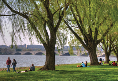 people lounge in the grass of a DC park near the Potomac