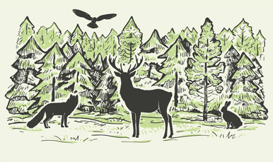 illustration of woodland creatures in a forest