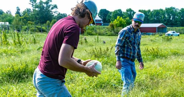 Patrick Atwell and Sean Barrett tend to the Airlie Berkshire Farm fields. 