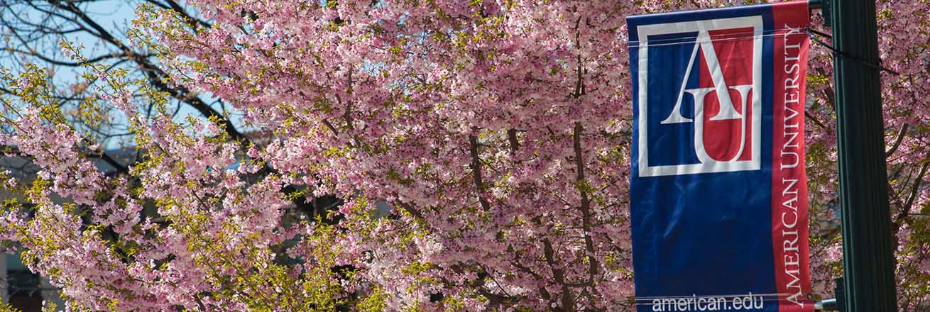 An American University pennant against a backdrop of cherry blossoms