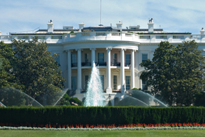 The White House