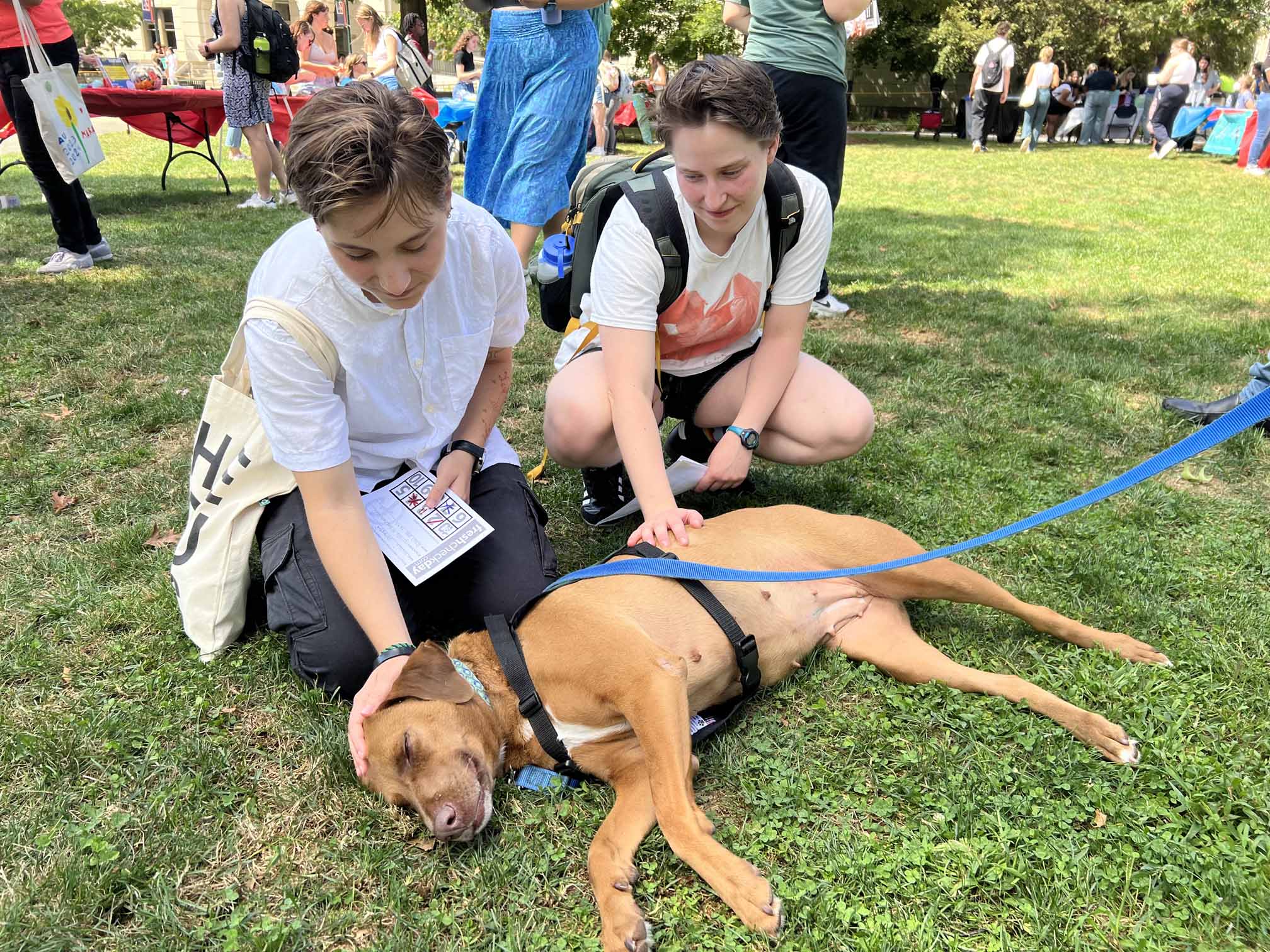 Two students pet a dog laying on the grass on the Quad.