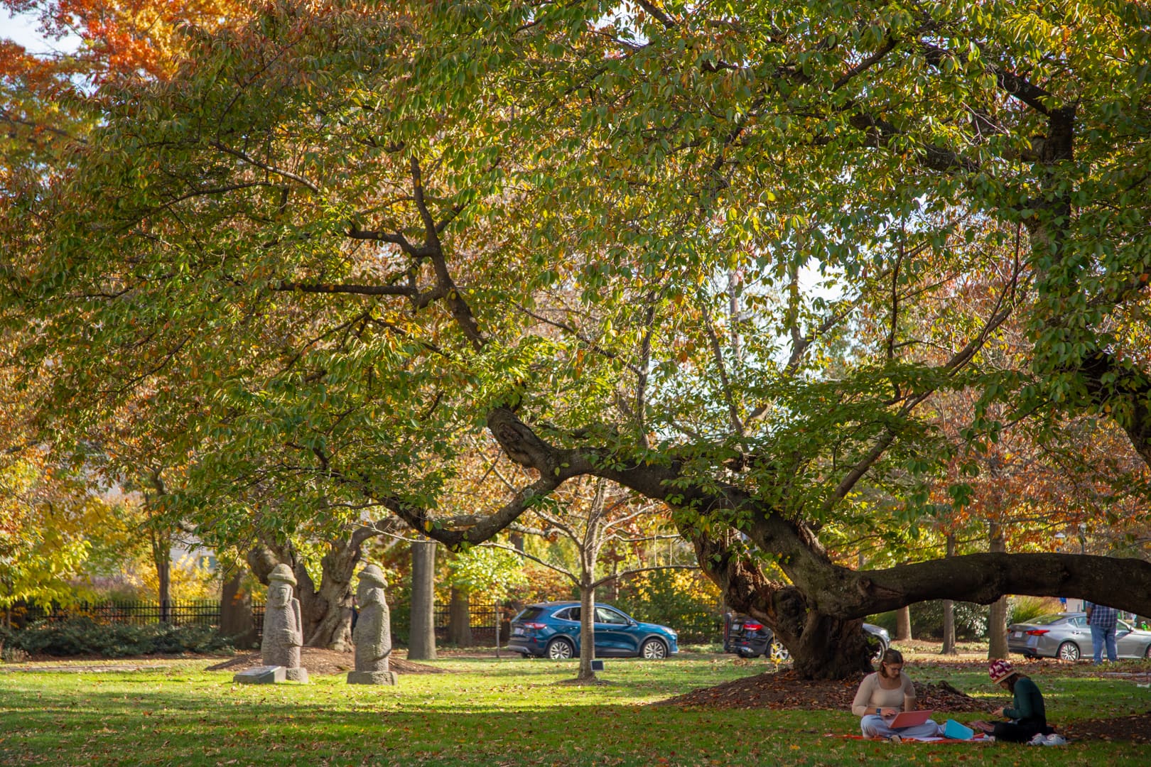 Two students underneath a large tree behind the East Quad building.