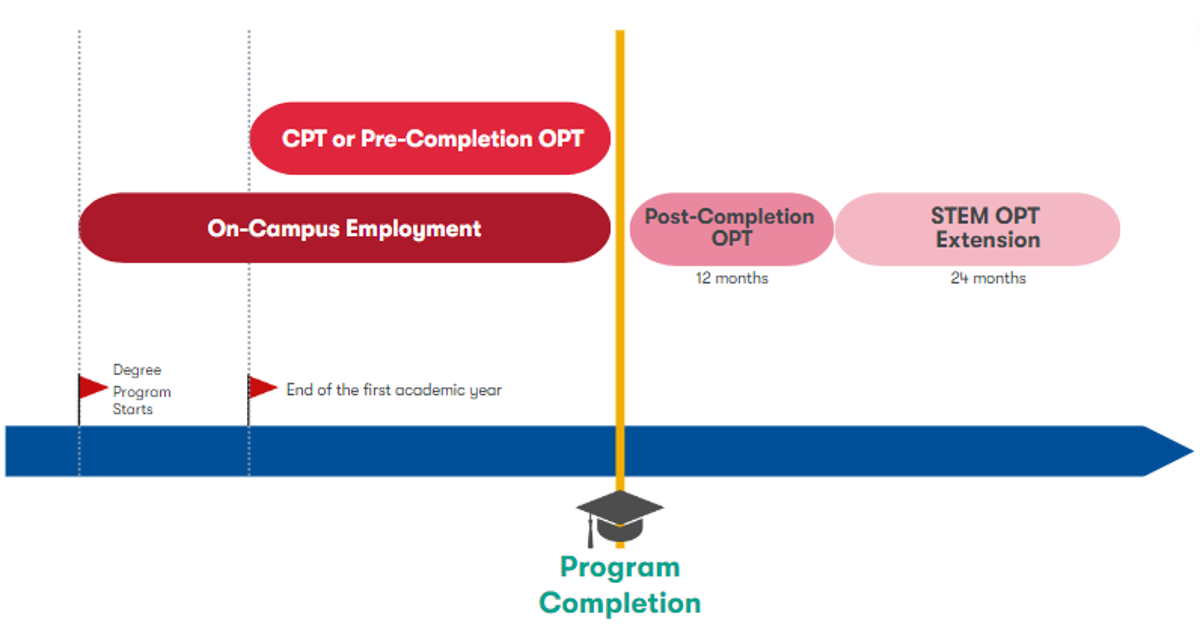 F-1 employment timeline